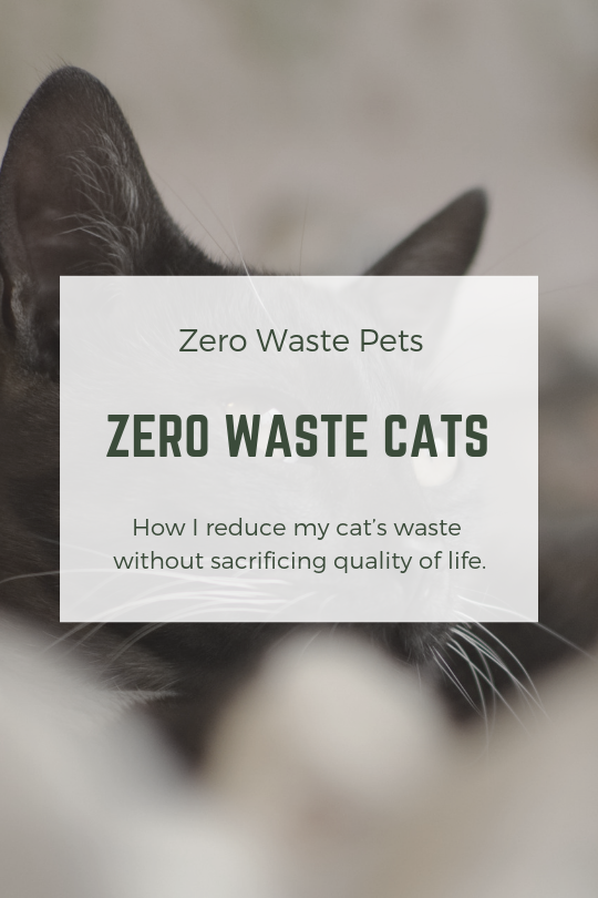 Zero Waste Cats. How I reduce my cat’s waste without… by Milo Rusnak