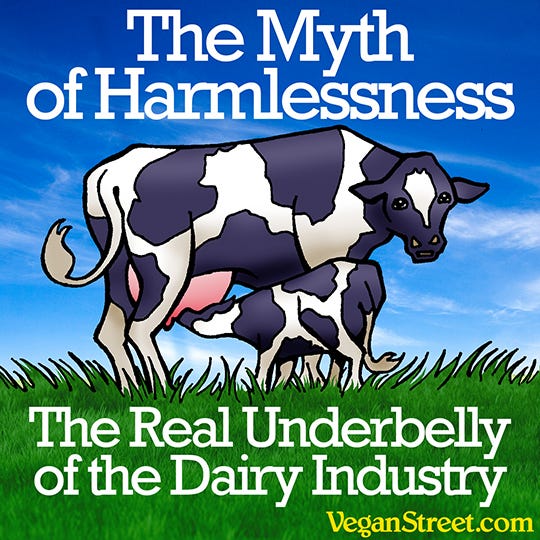 The Myth Of Harmlessness The Real Underbelly Of The Dairy Industry