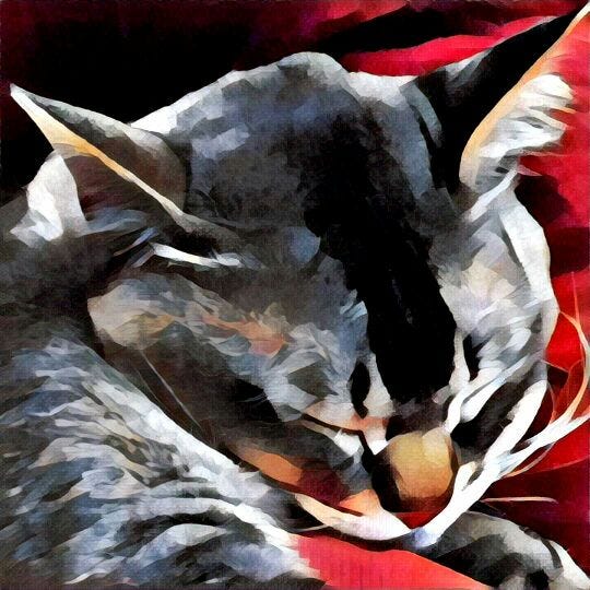 prisma app instagram prisma app instagram