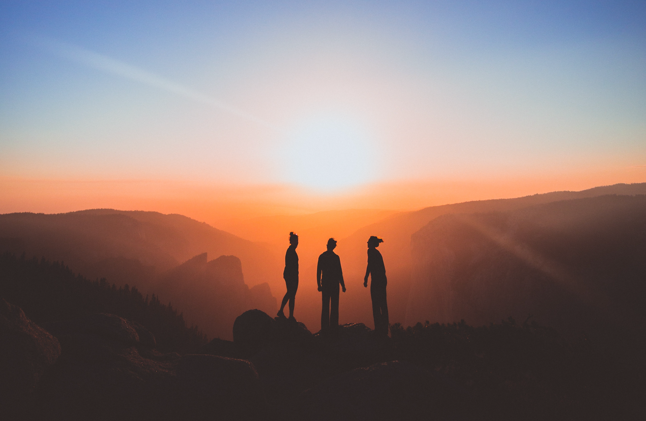 The Curious Brain Why Curiosity Is As Important As - 