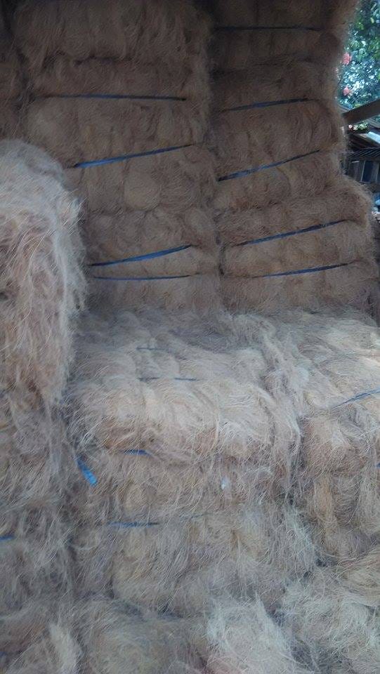 jual cocopeat di ijawai itimuri T sel 0811a 2631a 304 media jual cocopeat di ijawai itimuri T sel 0811a 2631a 304 media