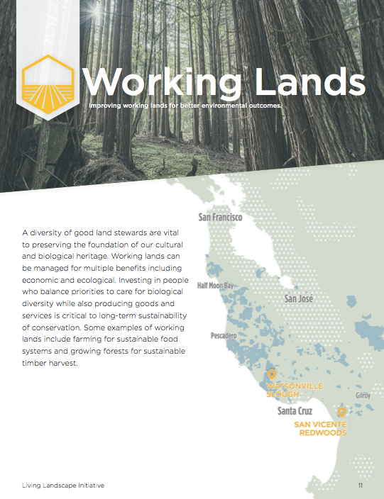 Visualizing Open Spaces for the Peninsula Open Space Trust by Eric