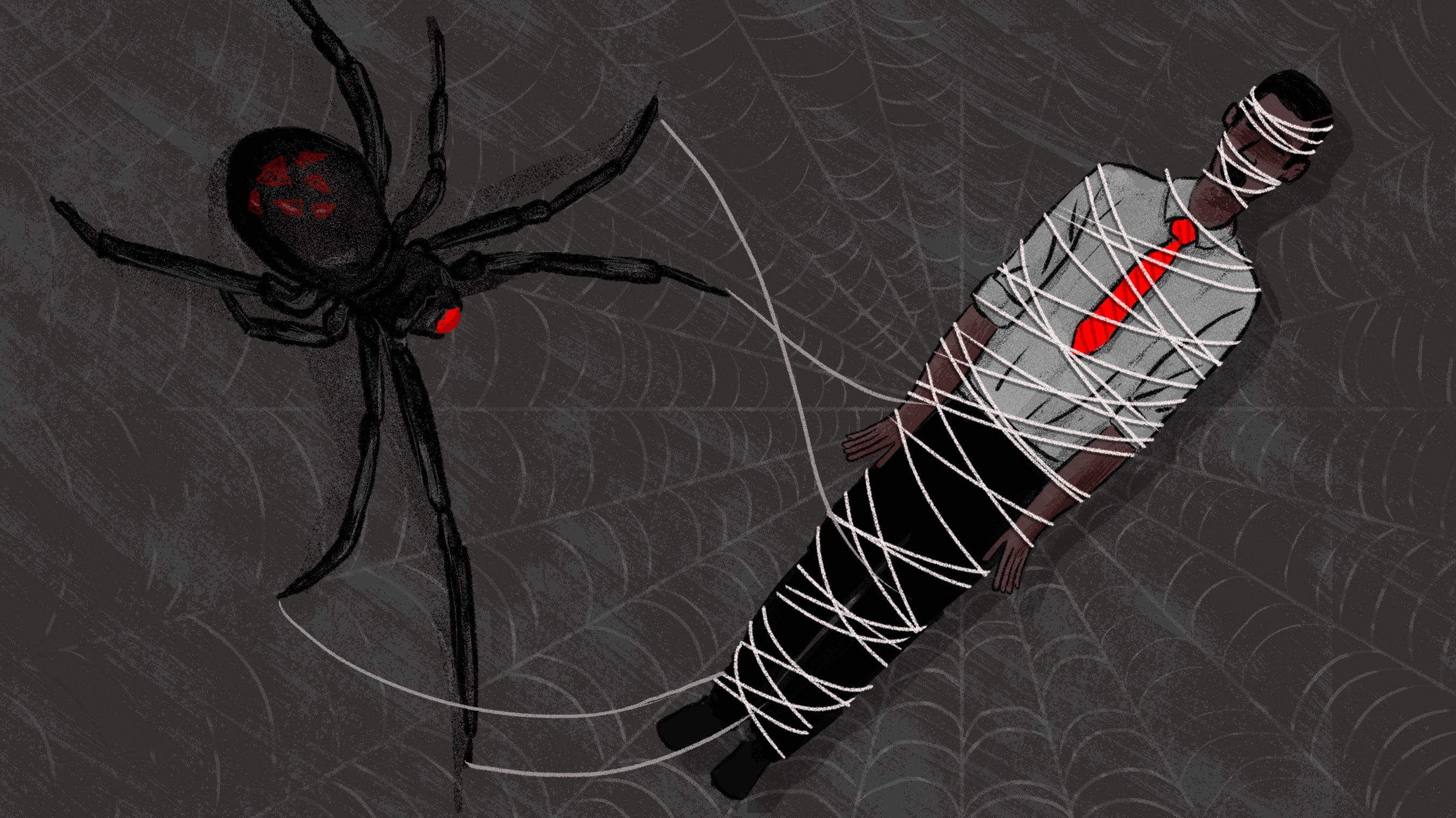 How Does A Black Widow Spider Find A Mate? - Christopher Harvey - Medium