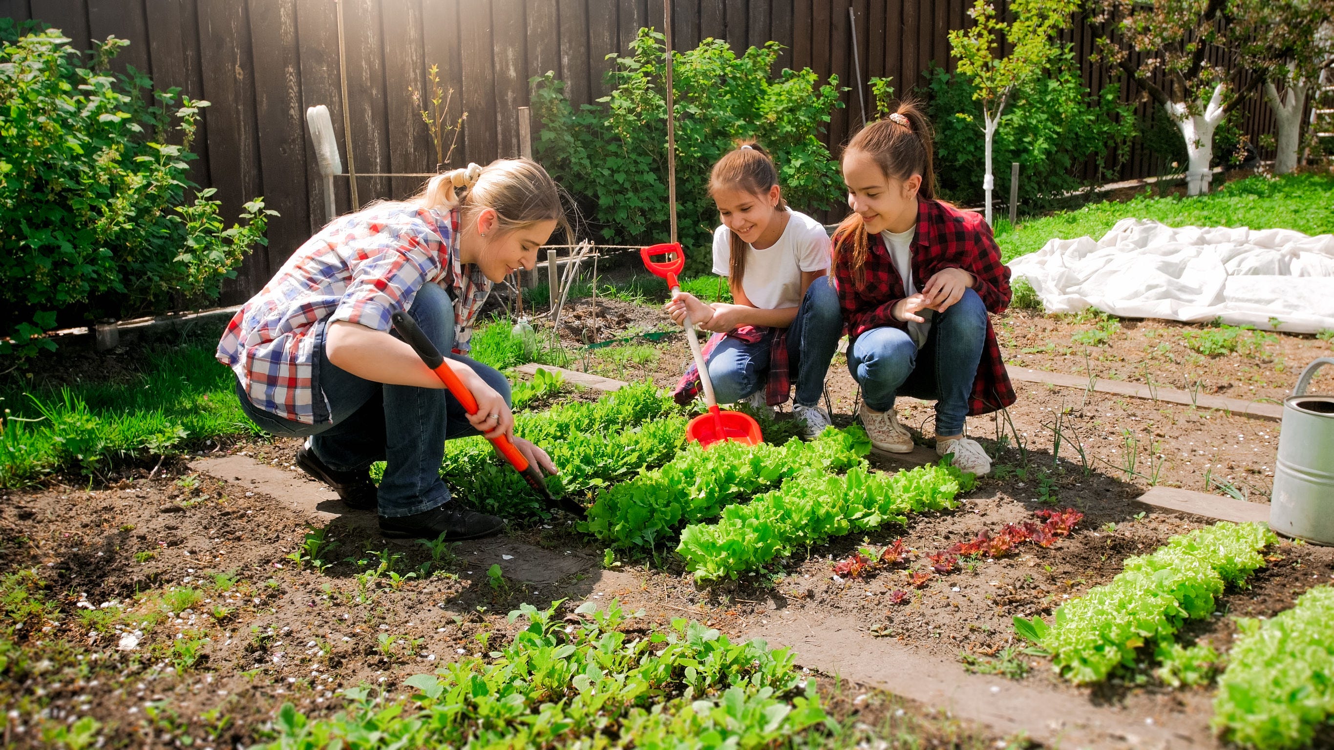 If You Want More Success Growing Vegetables, Here are the Books You Need | by Cindy Heath | THINK sustainable | Medium