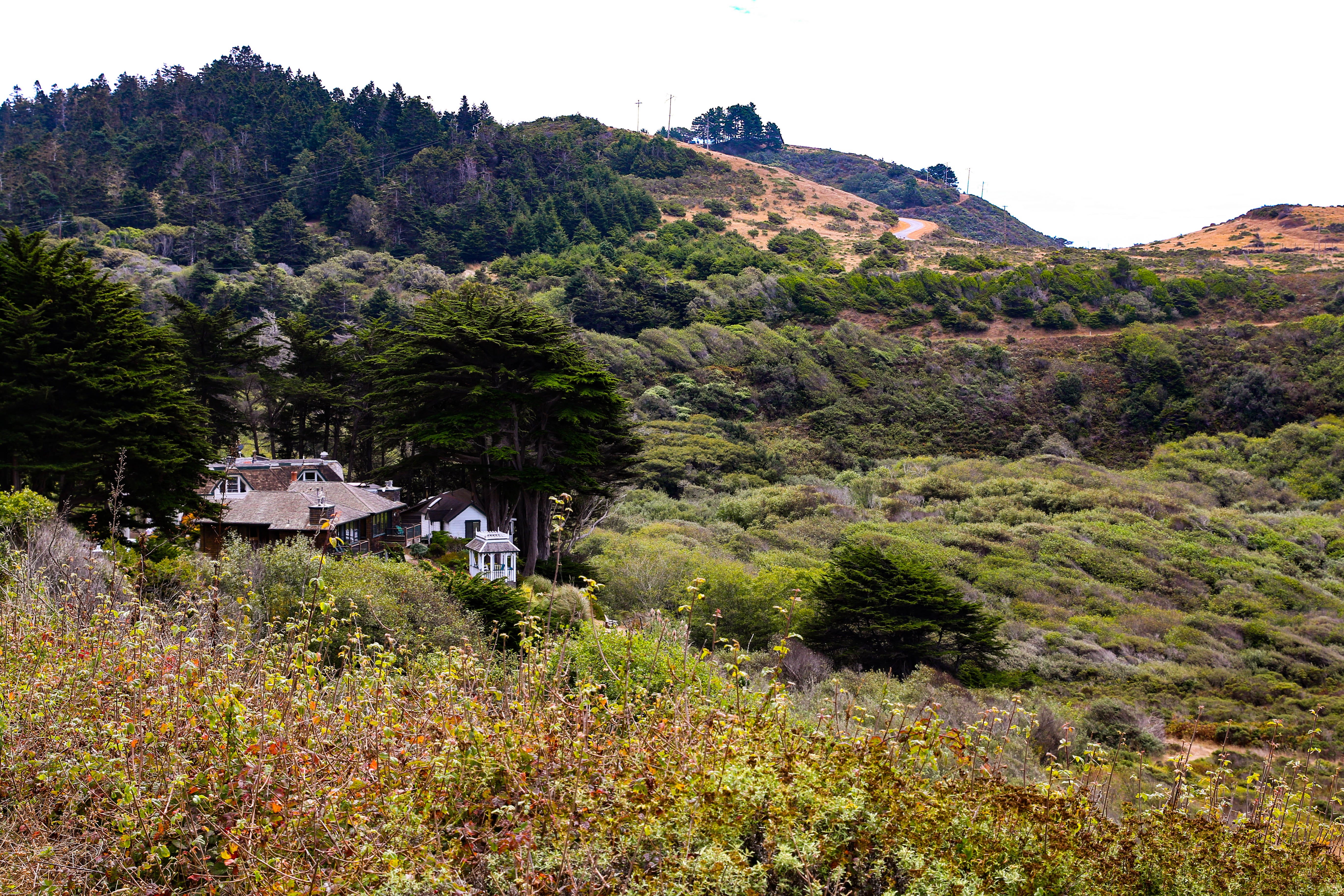 Mendocino