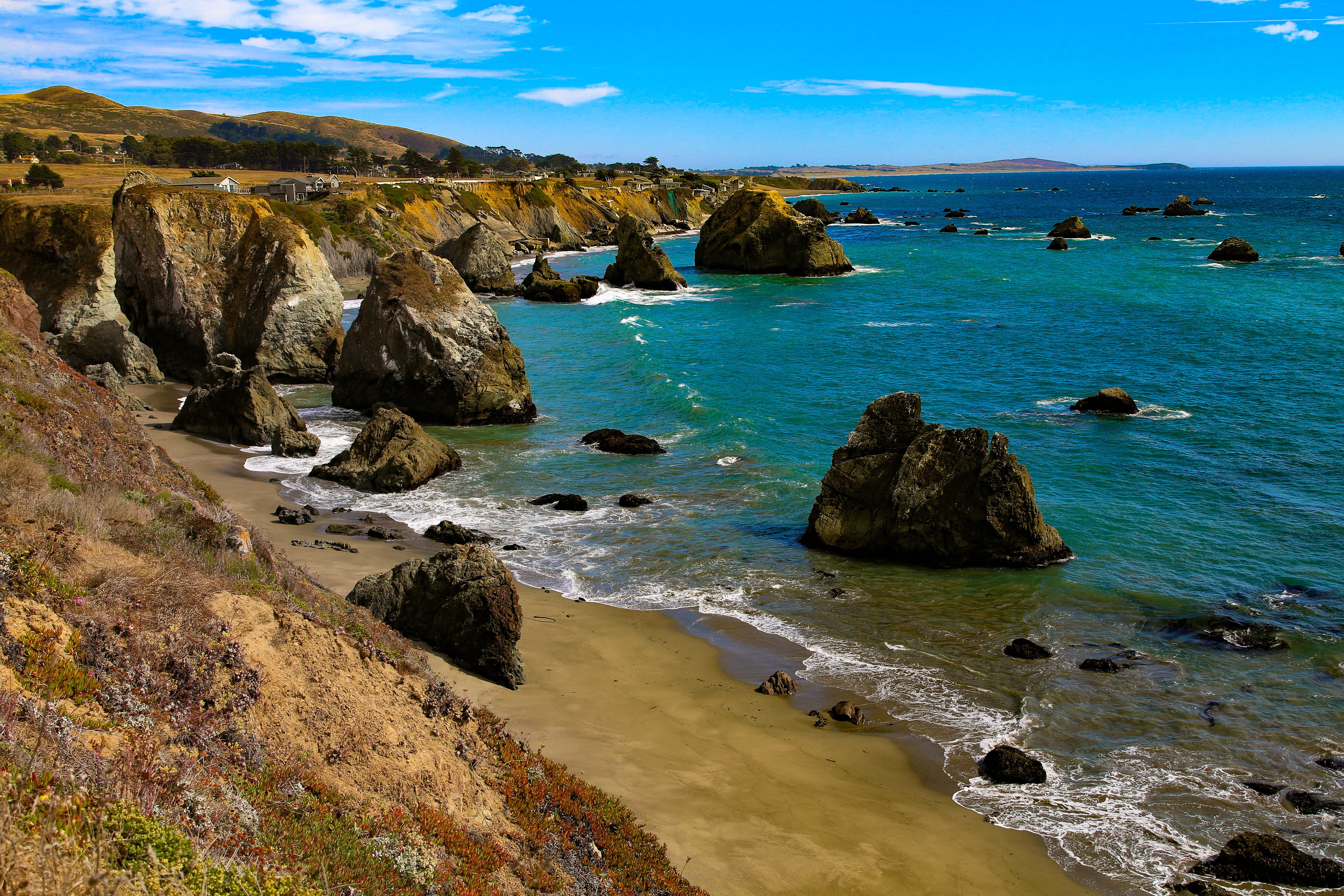 Bodega Bay