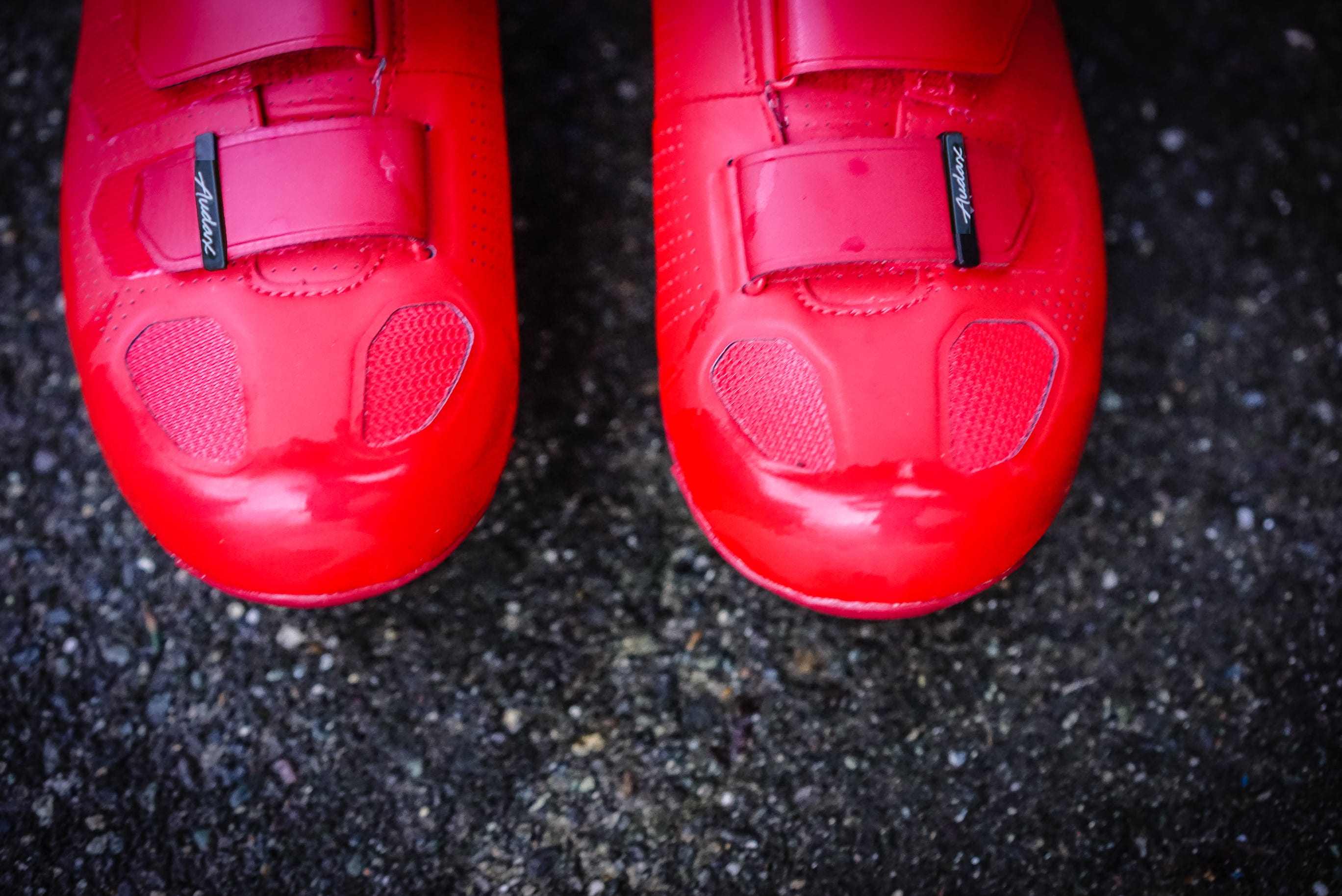 specialized audax road shoe