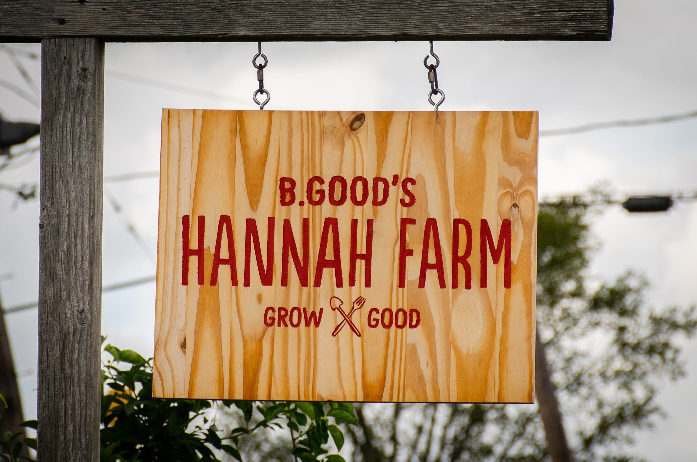We Started A Farm On An Island B Good S Hannah Farm Medium