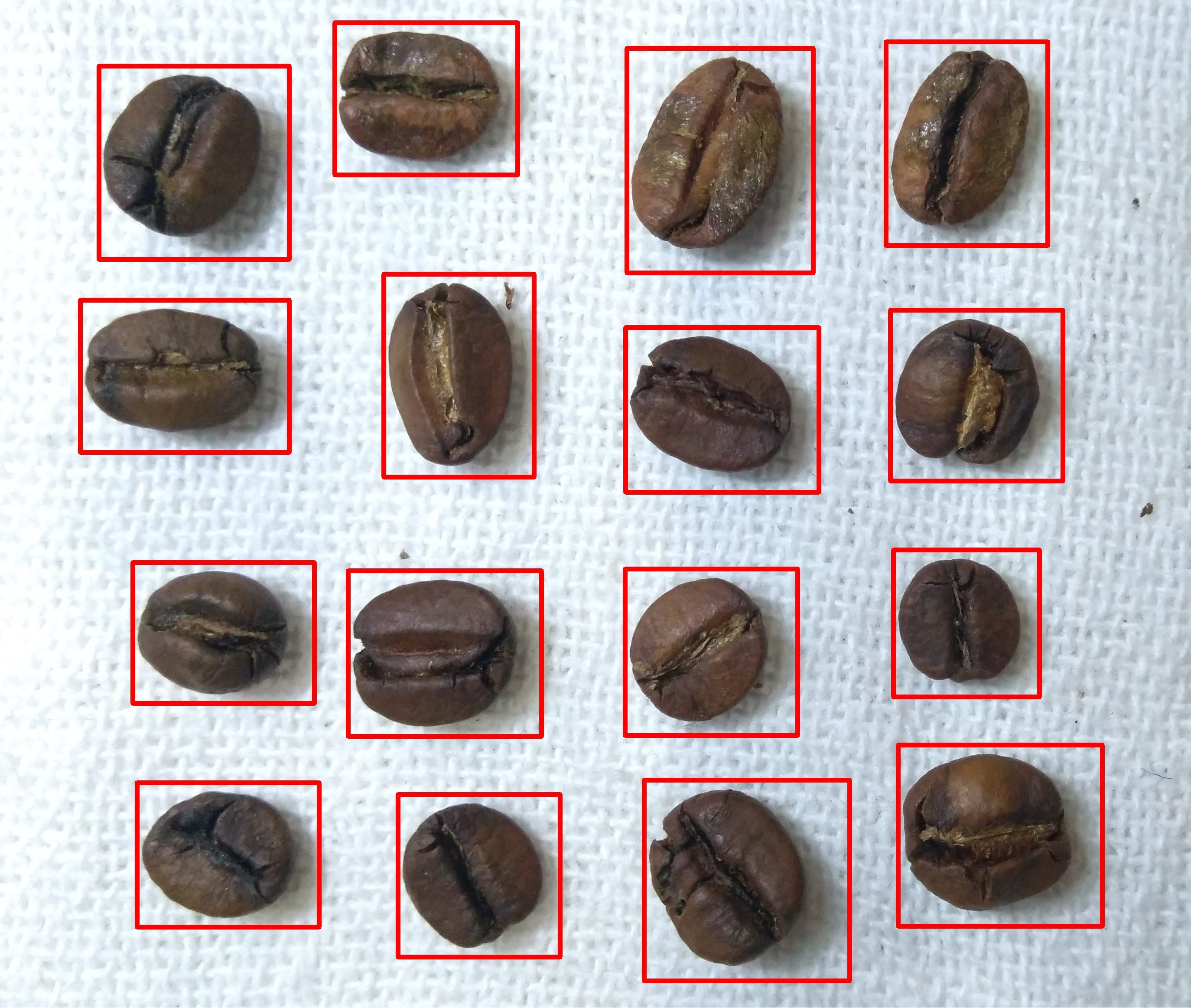 Automation for coffee bean selection by Rodrigo Pereira The Startup