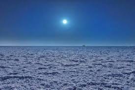 Festivals In Rajasthan 1 10 Rann Ustav In Kutch Gurajat State Efficient Management Apps De By India Heritage Culture Tours Medium