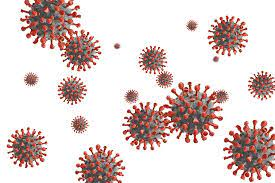 Image of COVID-19 virus.
