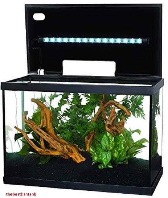 best-fish-tanks-for-beginners-the-fish-tank-placed-on-the-desk-not