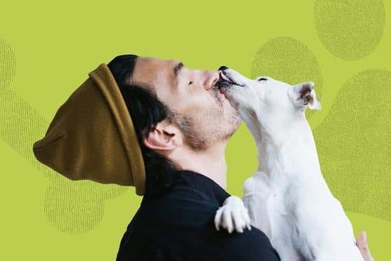 longevity raw dog food