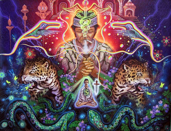 Out Of The Jungle How Ayahuasca Cured My Chronic By Jason M Glover Medium