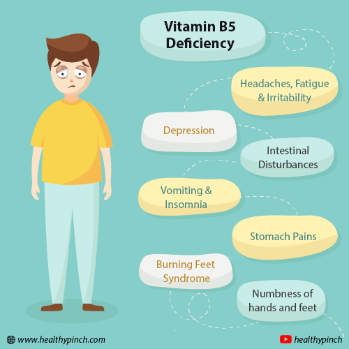 Vitamin B5 Deficiency All You Need To Know by Healthy Pinch Medium
