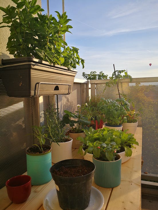 Balcony Gardening: Small & Simple Ideas for an Urban Garden | by Peter