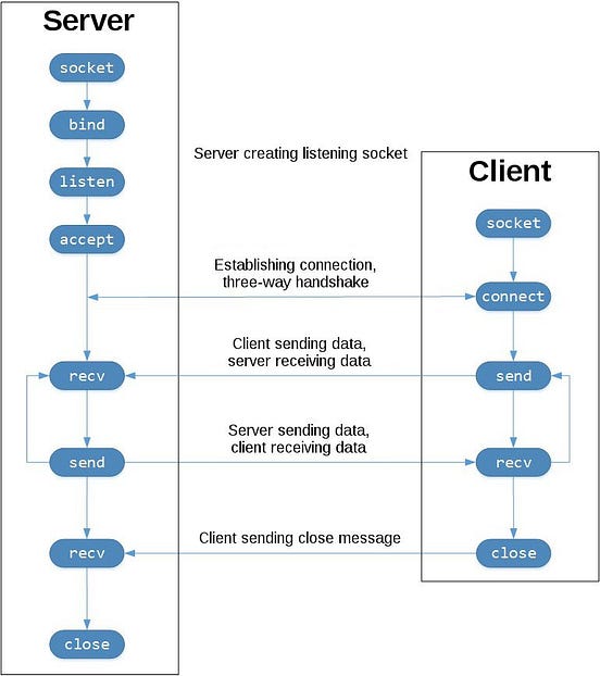 python packet sender