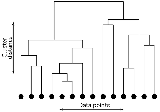 Hierarchical clustering explained | by Prasad Pai | Towards Data Science