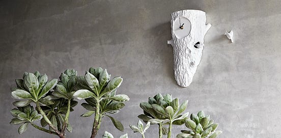 order of coocoo clocks in botanicula