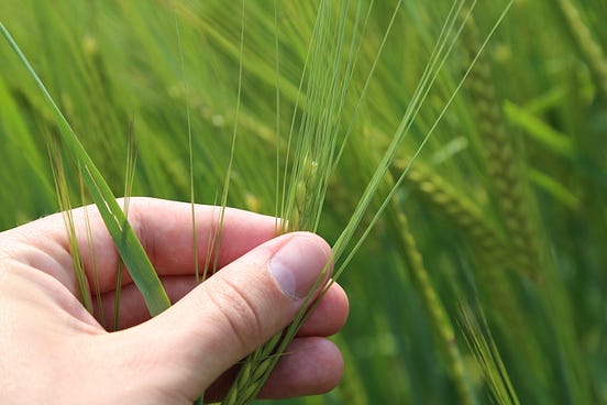 Latest AgTech Trends 2020