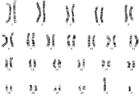 The Beginner’s Guide to Genetics Hacking | by Matthias Shapiro | Medium