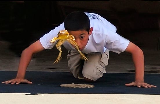 It’s National Frog Jumping Day: How Far Can Your Frog Jump? | by Debbie ...