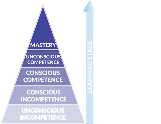 The Stages of Learning Data Science | by Ken Jee | Towards Data Science