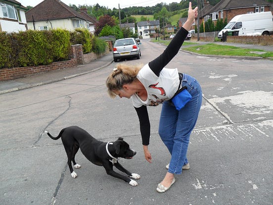The Dancing Boxer From England. Ever since dancing dogs