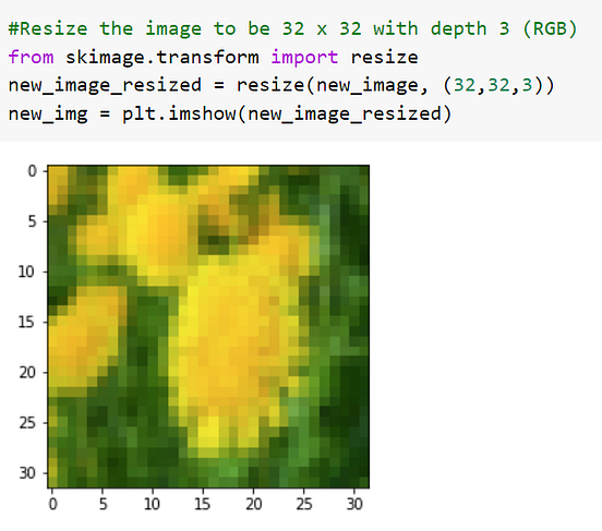 Classify Flower Images Using Machine Learning & Python | by ...
