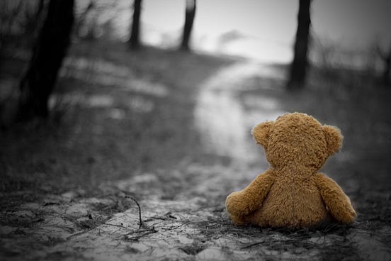 teddy-bear-on-mud-pound-facing-road
