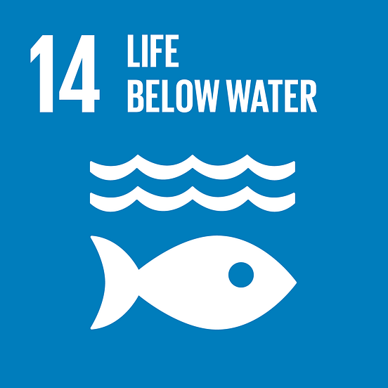 SDG 14 Indicators 2017 Updates The Updated List Of SDG 14 Indicators 