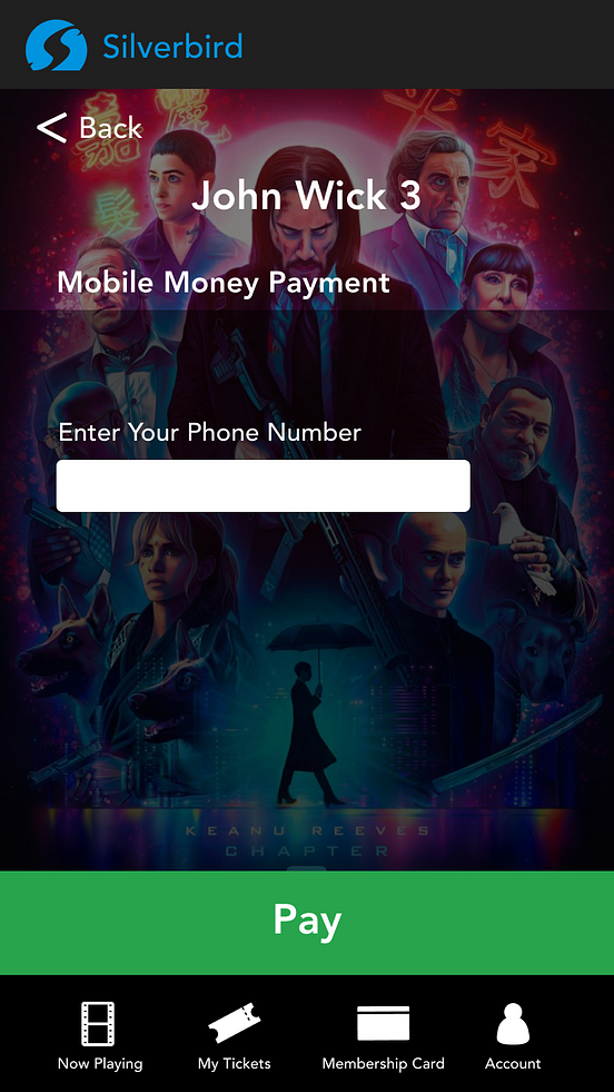 Silverbird case study 05 picture