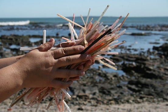 The Ban on Plastic Straws: A 21st Century Environmental Movement | by