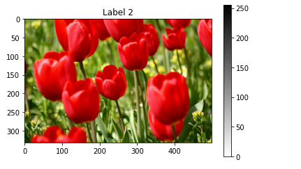 TensorFlow Image Classification With TF_Flowers Dataset | by Nutan ...