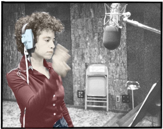 Janis ian at seventeen picture