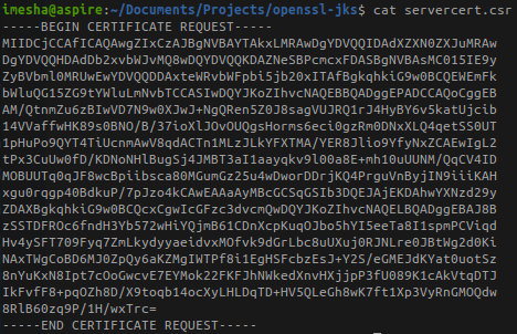 Generating/Signing Certificates with OpenSSL and Converting to Java Key