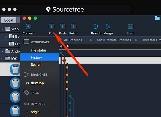 sourcetree checkout sourcetree checkout