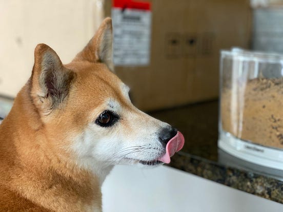 CryptX: The All-in-One Platform that Integrates Your