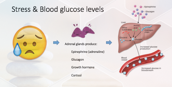 Can Stress Affect Blood Sugar In Diabetics DiabetesWalls