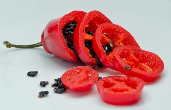 Todo sobre el Rocoto. El Ají Rocoto es originario del Perú se… | by E Barranco Noriega | Medium