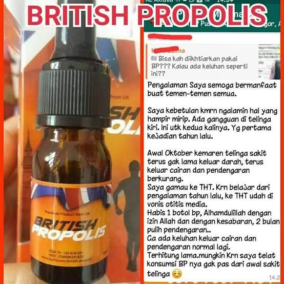 Distributor British Propolis Resmi Bisnis British