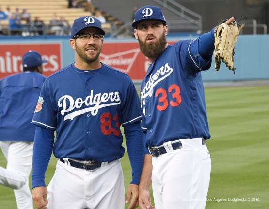 Rob Segedin: Infield candidate today, front-office candidate tomorrow | by  Jon Weisman | Dodger Insider