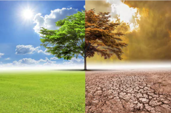 Do you have to choose between WET or DRY for your code? | by AntoineJ ...