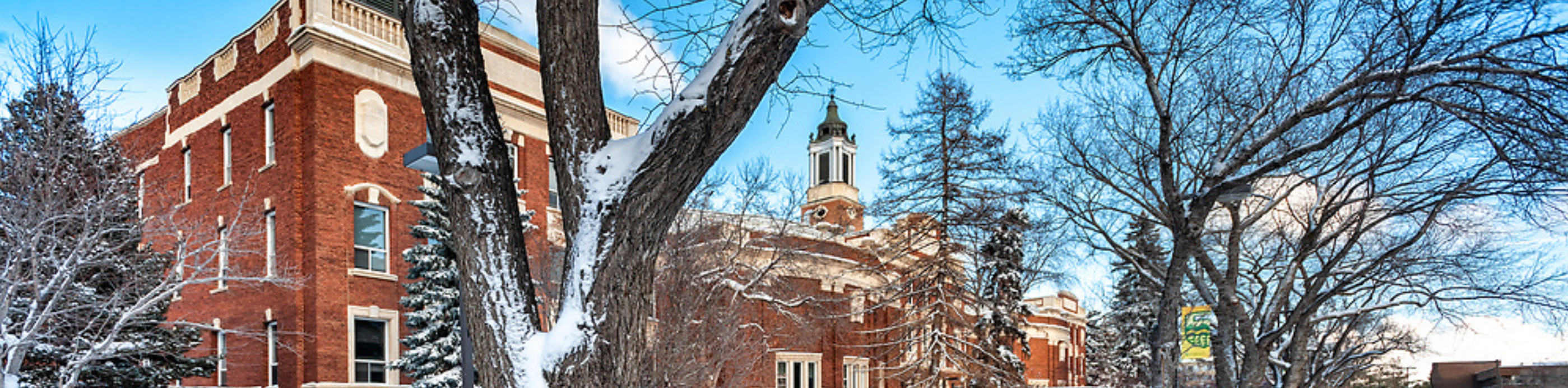 The University of Alberta.