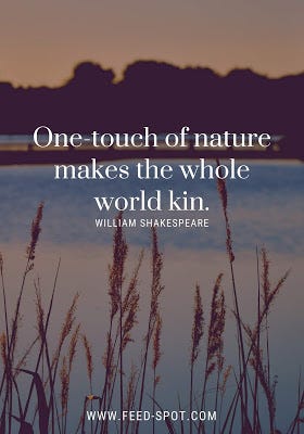 Best Nature Quotes — Sayings About Nature Beauty | by Feedspot | Medium