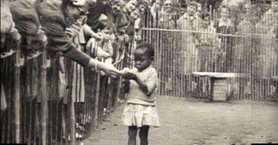 The Black Boy Who Was Showcased in a Zoo Cage | by Andrei Tapalaga ✒️ |  History of Yesterday | Medium