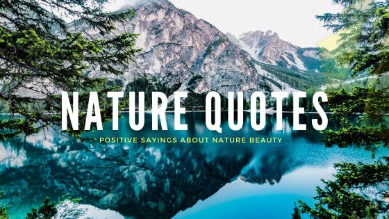 Best Nature Quotes — Sayings About Nature Beauty | by Feedspot | Medium