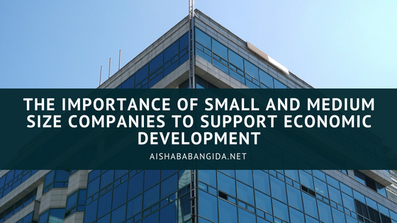 role of small enterprises in economic development
