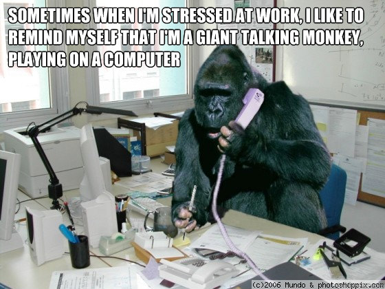 Handling Interruptions The Agile Way The Interruption Monkey By Alfredo Artiles Audiense Engineering Handling Interruptions The Agile Way The Interruption Monkey By Alfredo Artiles Audiense Engineering