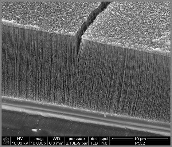 Vertically Aligned Carbon Nanotubes